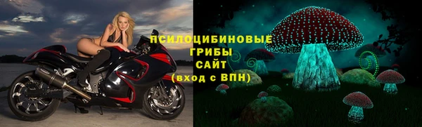 не бодяженный Каменск-Шахтинский
