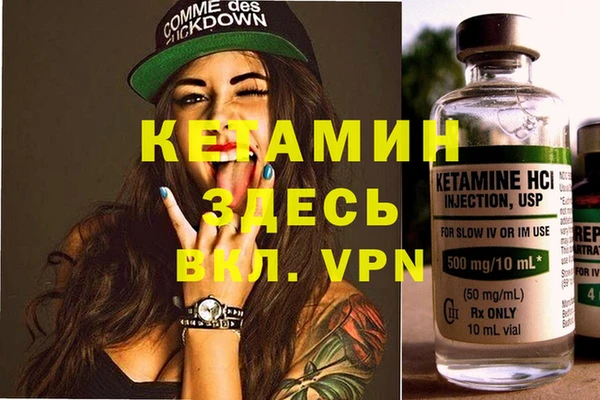 сатива Каменногорск