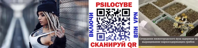 Галлюциногенные грибы GOLDEN TEACHER  купить наркоту  Корсаков 