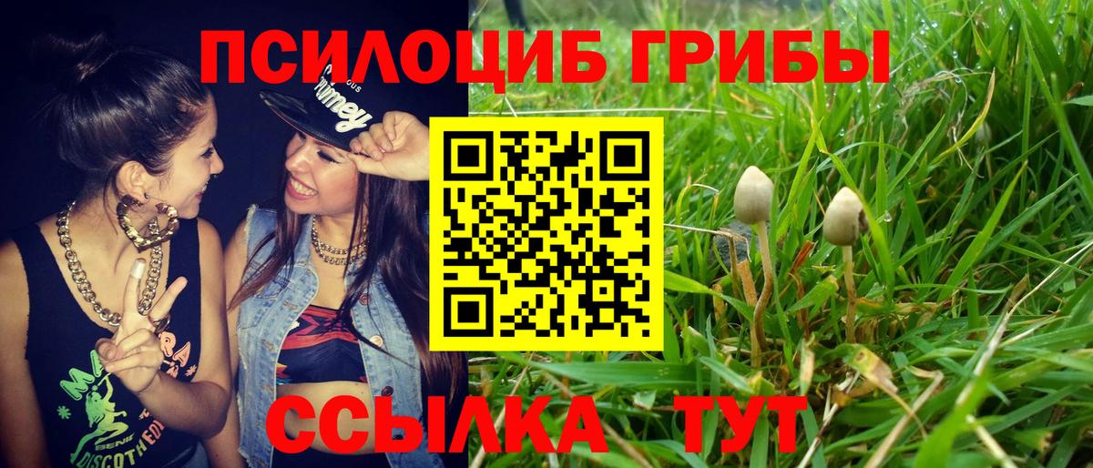 Галлюциногенные грибы Psilocybe Корсаков