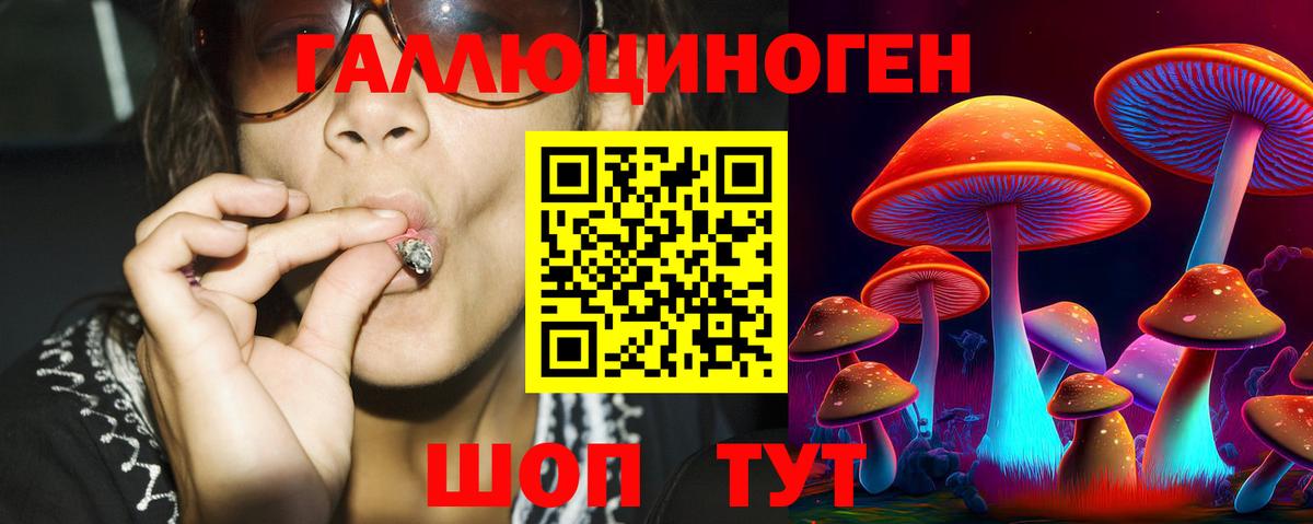 Корсаков  Псилоцибиновые грибы Magic Shrooms  Вход с VPN 