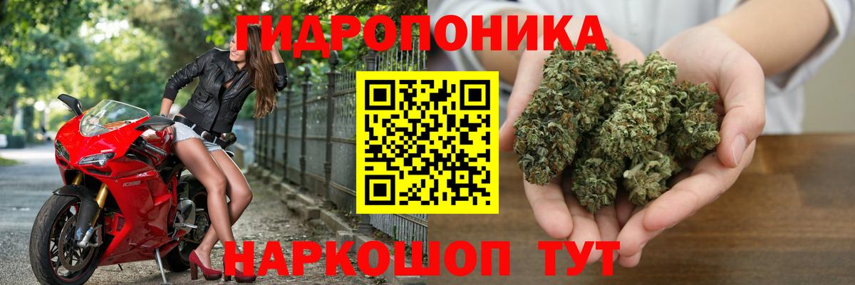 Шишки марихуана Ganja Корсаков